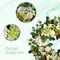 Spring Wreaths for Front Door, 24" Artificial Green & White Floral Wreath with Peony & Hydrangea – Spring Summer Indoor Outdoor Wreath for Home, Wall, Porch, Wedding & Party Décor